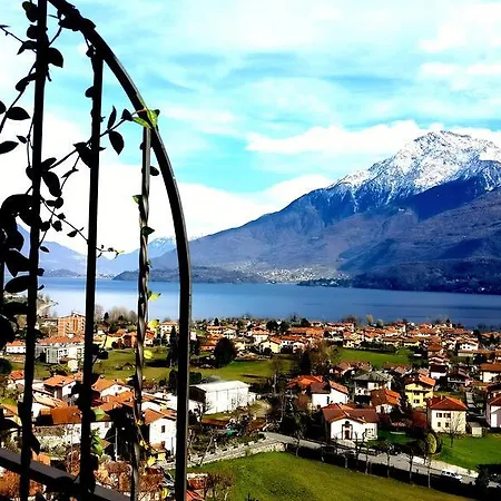 Apartamento Ulivi On The